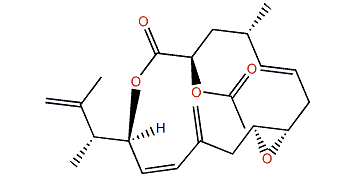 Amphidinolide PX3